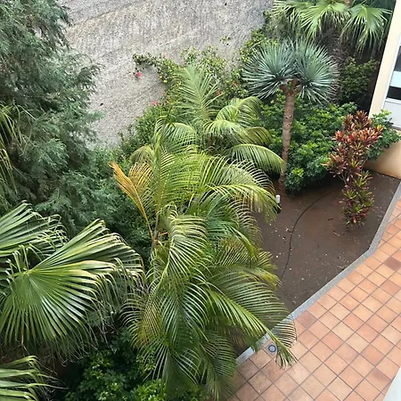 Tmaria * Ponta do Sol (Madeira)